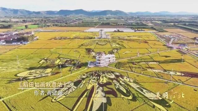 美丽河北 ⷠ共同见证”2023春夏秋冬视频征集大赛入围作品展播(38)|《稻田如画秋意浓》