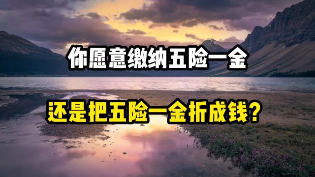 你愿意缴纳五险一金,还是把五险一金折算成钱?