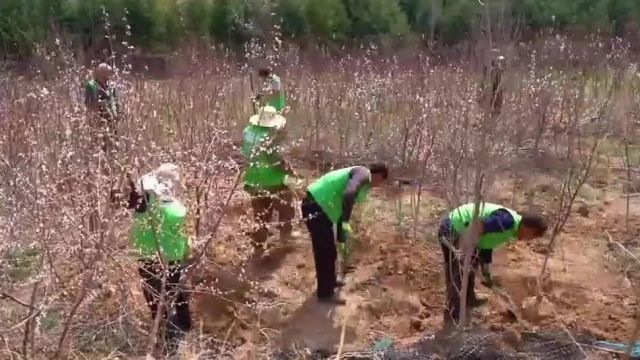 阿拉善SEE塞上江南中心:遏制水土流失 守护黄河母亲