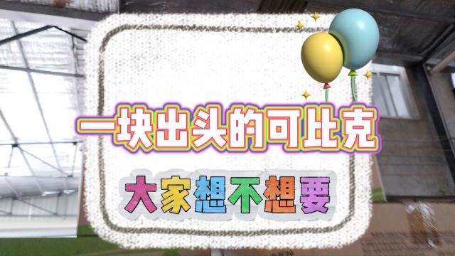 实地考察成都一线品牌超多的休食饮品折扣货源批发仓库,可比克王者荣耀联名款只要一块出头就能到手,性价比超高并且可比克薯片货量也很充足,是当地...