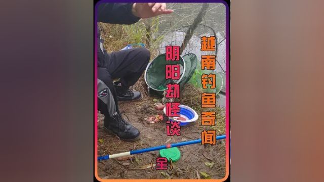 谁能拒绝蹲坑时看一集越南钓鱼奇闻之阴阳劫怪谈