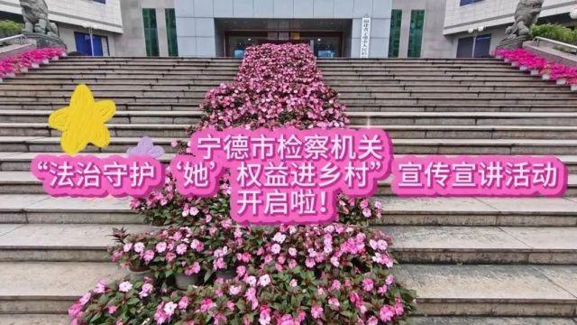 检护民生 | 宁德市:“法治守护'她'权益进乡村”