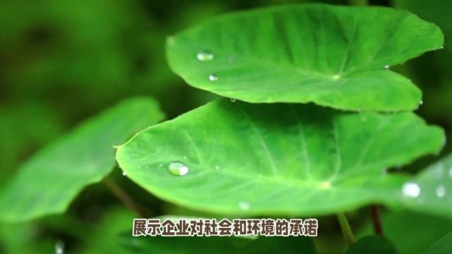 企业文化融入王阳明哲学:知行合一的实践之道