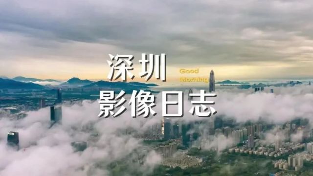 早安深圳|1900多场阅读活动来了