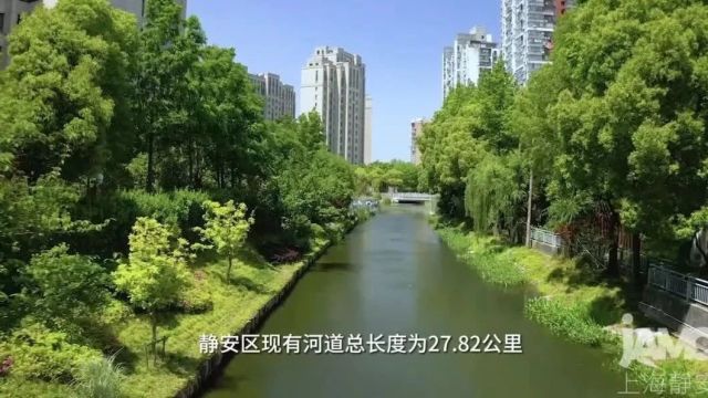 静安:水环境的“碧水新篇”少不了TA们→