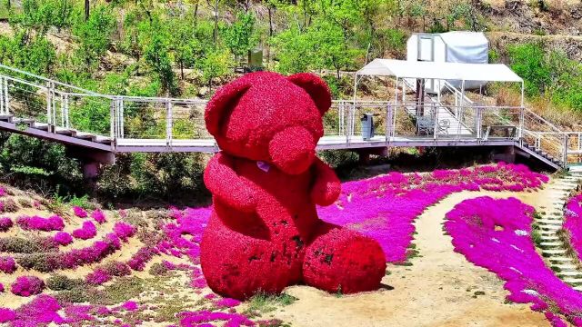 一个有爱心的地方,花海与浪漫的完美呈现!#三水源生态旅游度假#周末去哪玩