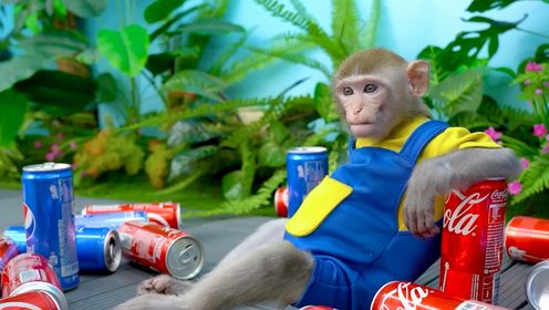 小猴子吉吉喝了非常多的可乐