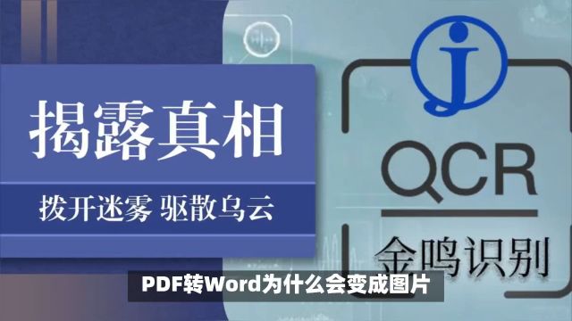 PDF转Word,转出来的却是图片,怎么回事?