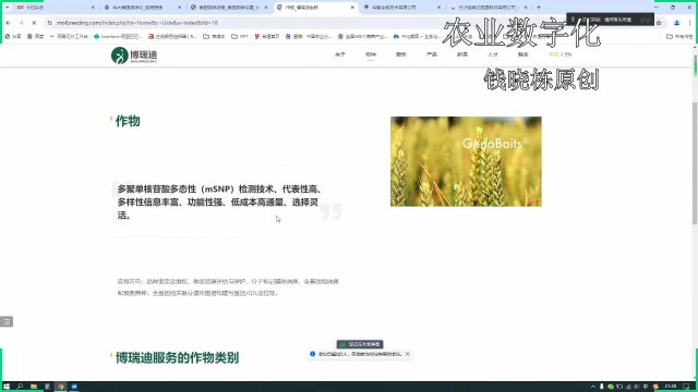 智慧育种及农牧企业数字化转型(2)动物作物基因型分析