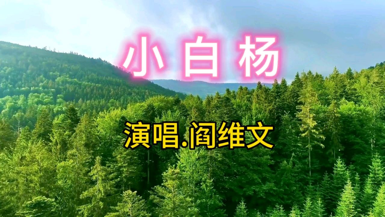 经典军旅歌曲《小白杨》歌声优美动听