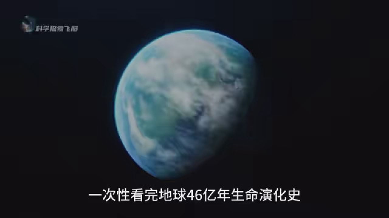 一次看完地球46亿年生命演化史，从地球诞生到人类文明，献给每一位存在过的生灵！#科普#涨知识#史前星球_高清1080P在线观看平台_腾讯视频