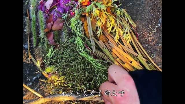 九零后小伙随手就用路边的野花野草拼接出栩栩如生的动物造型出来