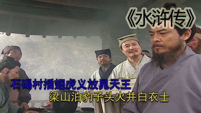 《水浒传》015:石碣村插翅虎义放晁天王,梁山泊豹子头火并白衣士