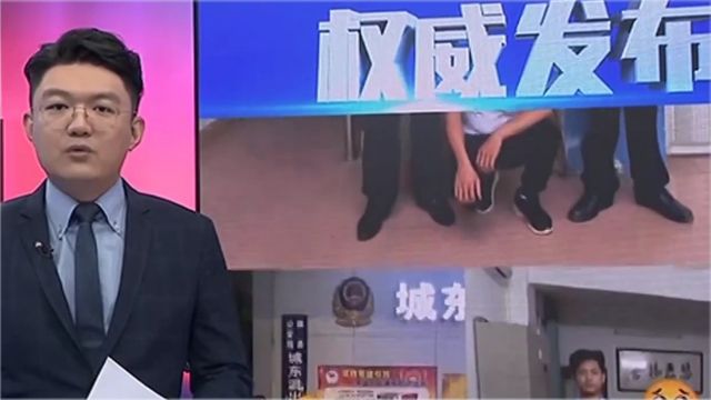 权威发布!网络造谣“偷小孩”,引发恐慌被处罚