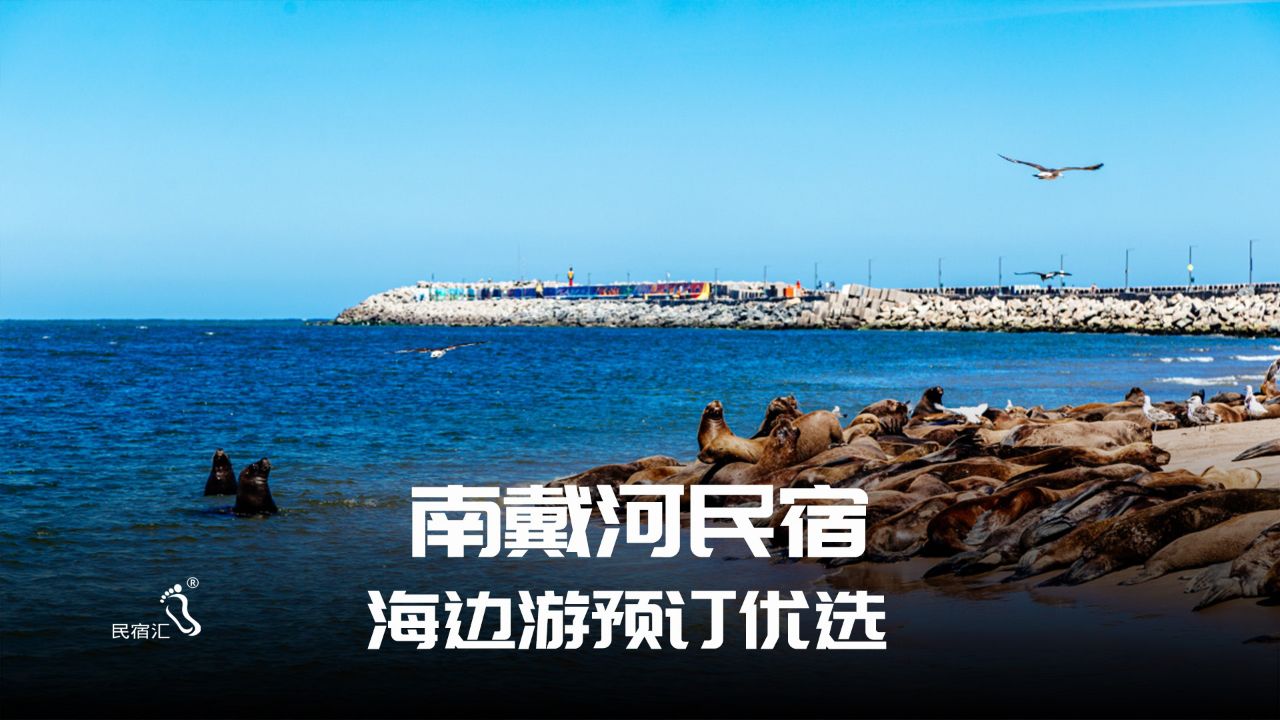 南戴河海边农家院图片