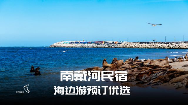 海边旅游惬意优选南戴河民宿利年农家院民宿汇