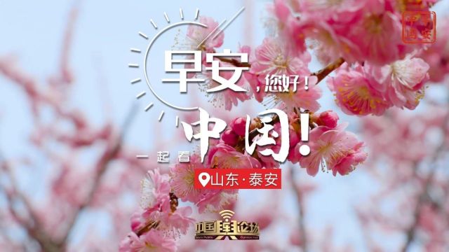 桃花映照泰安城 春意盎然诗意浓