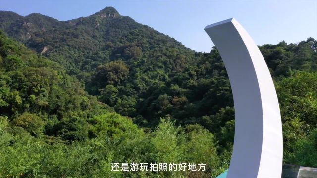 五一还不知道去哪里玩,那就来南丹山森林王国,佛山游玩的宝藏地!近距离感受自然的气息,打卡拍照秒出片