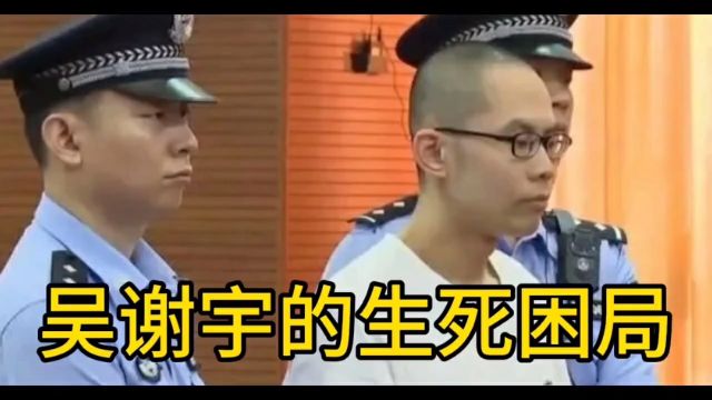 吴谢宇的生死困局