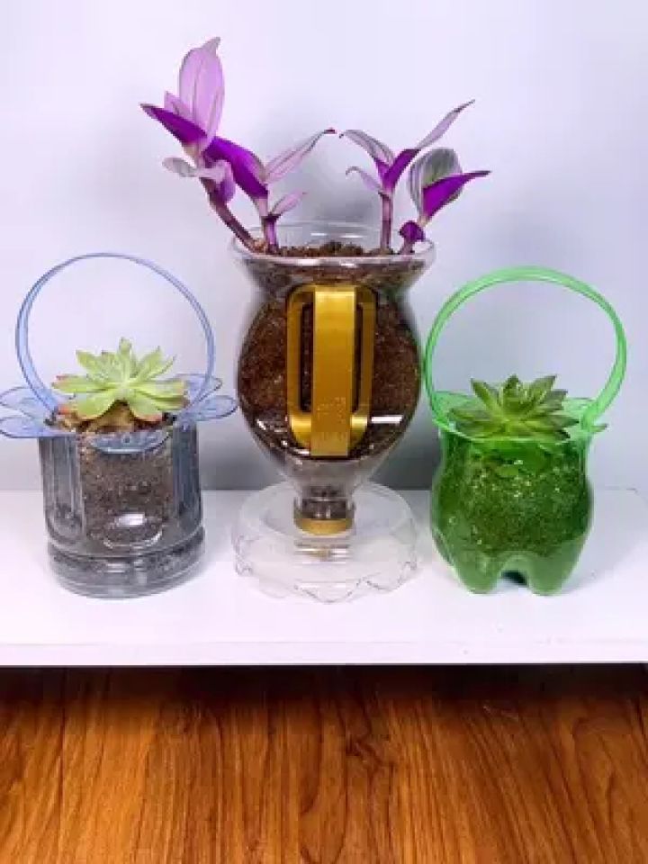 家里的瓶瓶罐罐都可以做花盆快来试试看吧 #手工花盆 #变废为宝 #手工