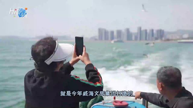 快来威海,开启一场独特的海上观光之旅