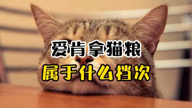 爱肯拿猫粮属于什么档次?