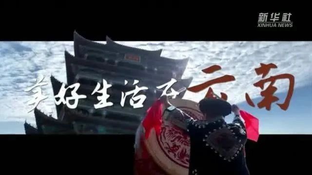 时评 | “鲜花经济”开辟消费新蓝海