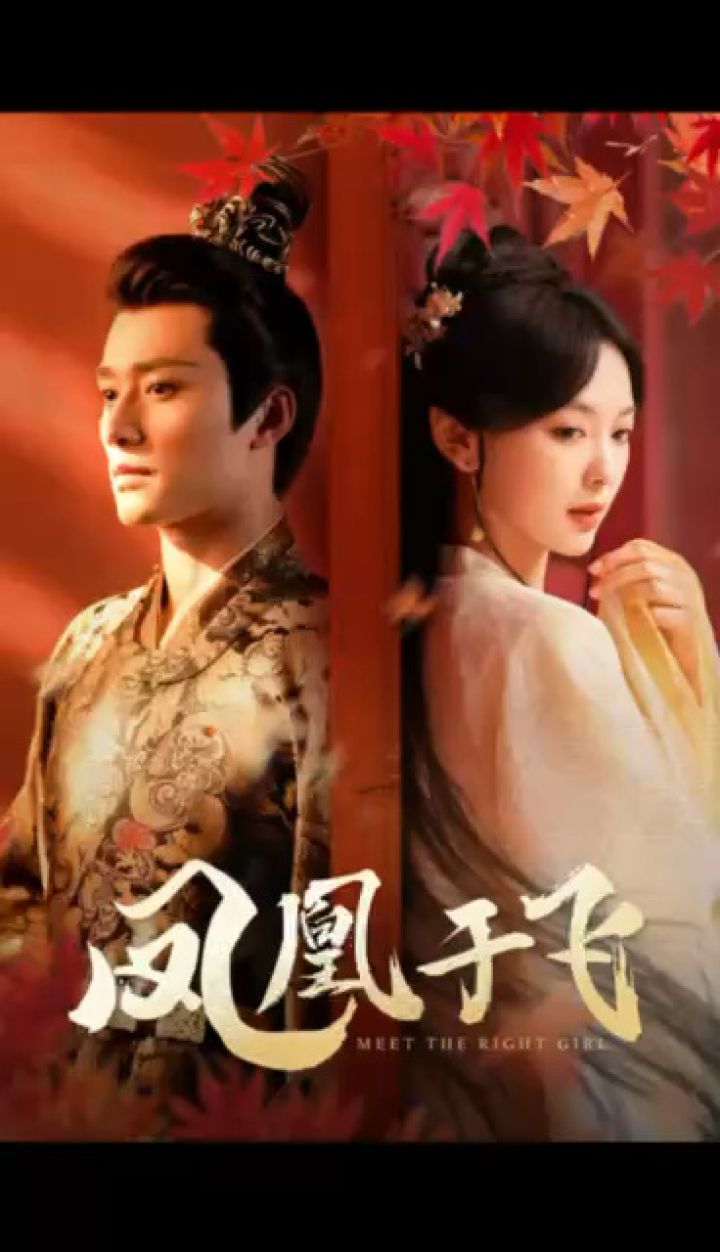 《凤凰于飞》顶置9494第一个视频可获取全集