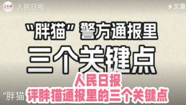 人民日报评胖猫通报里的三个关键点,冲上热搜榜,话题阅读量超过2996万