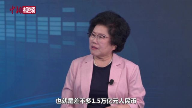 【中国焦点面对面】陈文玲:中国“产能过剩”完全是伪命题