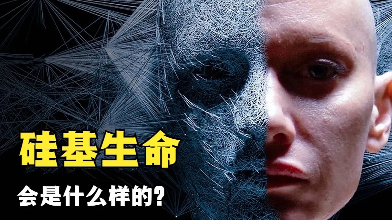 地球上为何只有碳基生命,而不存在硅基生命,两者之间有何不同?