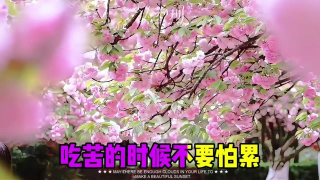 莫忧前尘,往后事,自得如诗,喜悦心~