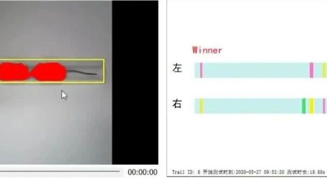 【CNS&Neuron】狭路相逢!胡海岚、Kay Tye课题组6篇精彩文章阐释中枢调控社会等级的神经机制