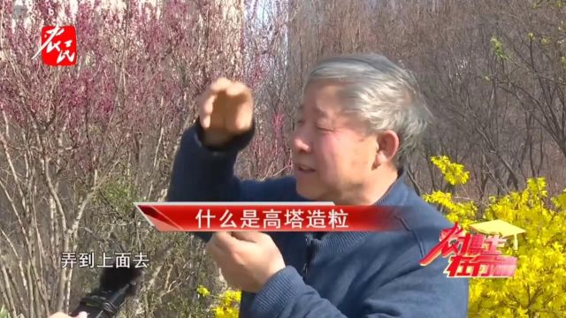 科技助农 | 什么是 高塔造粒?