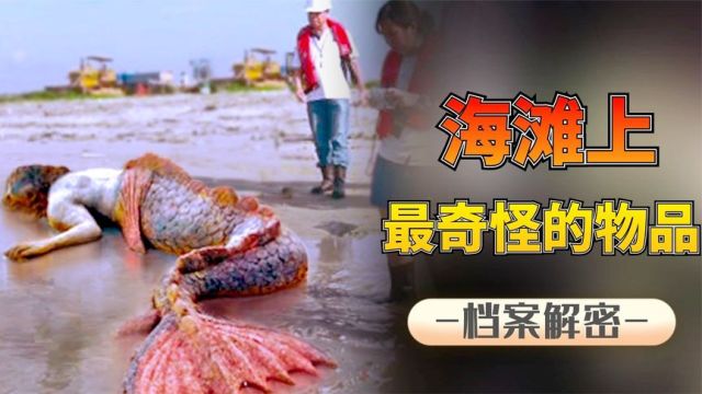 六大诡异物品:捡到散发恶臭的石头价值50万,竟是一团呕吐物?