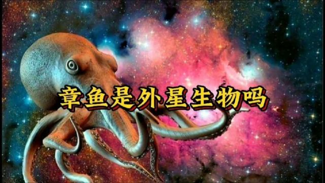 章鱼是外星生物吗