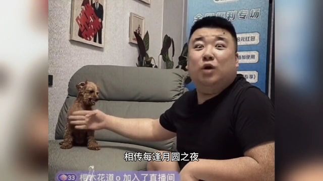 简直堪称狂犬疫苗代言人#摸摸哥#狂犬疫苗#狗子