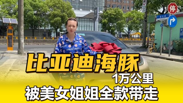 2022年比亚迪海豚新能源,二手车7万多,真心不贵