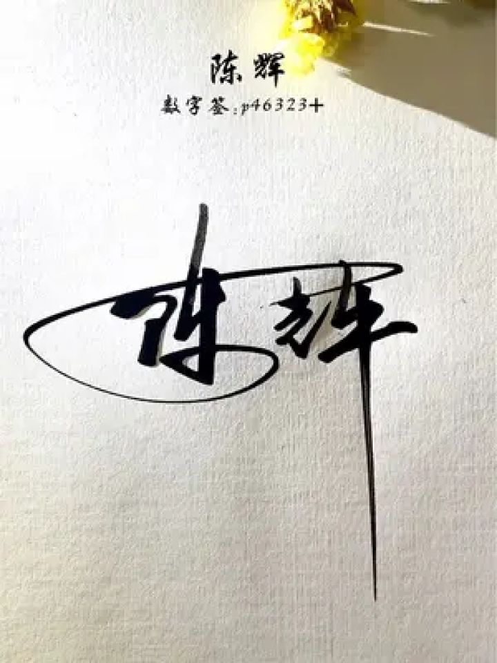 签名代表你的身份和形象 陈辉,数字签p46323 ,好看又简单,你觉得呢?