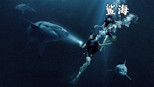 《鲨海》 姐妹花被困鲨海，该如何自救？