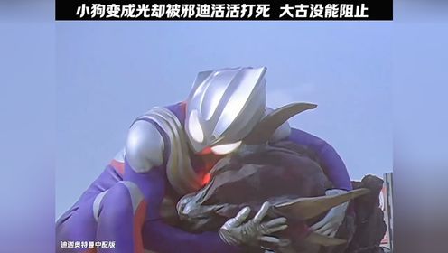 没能救下小狗大古也很自责