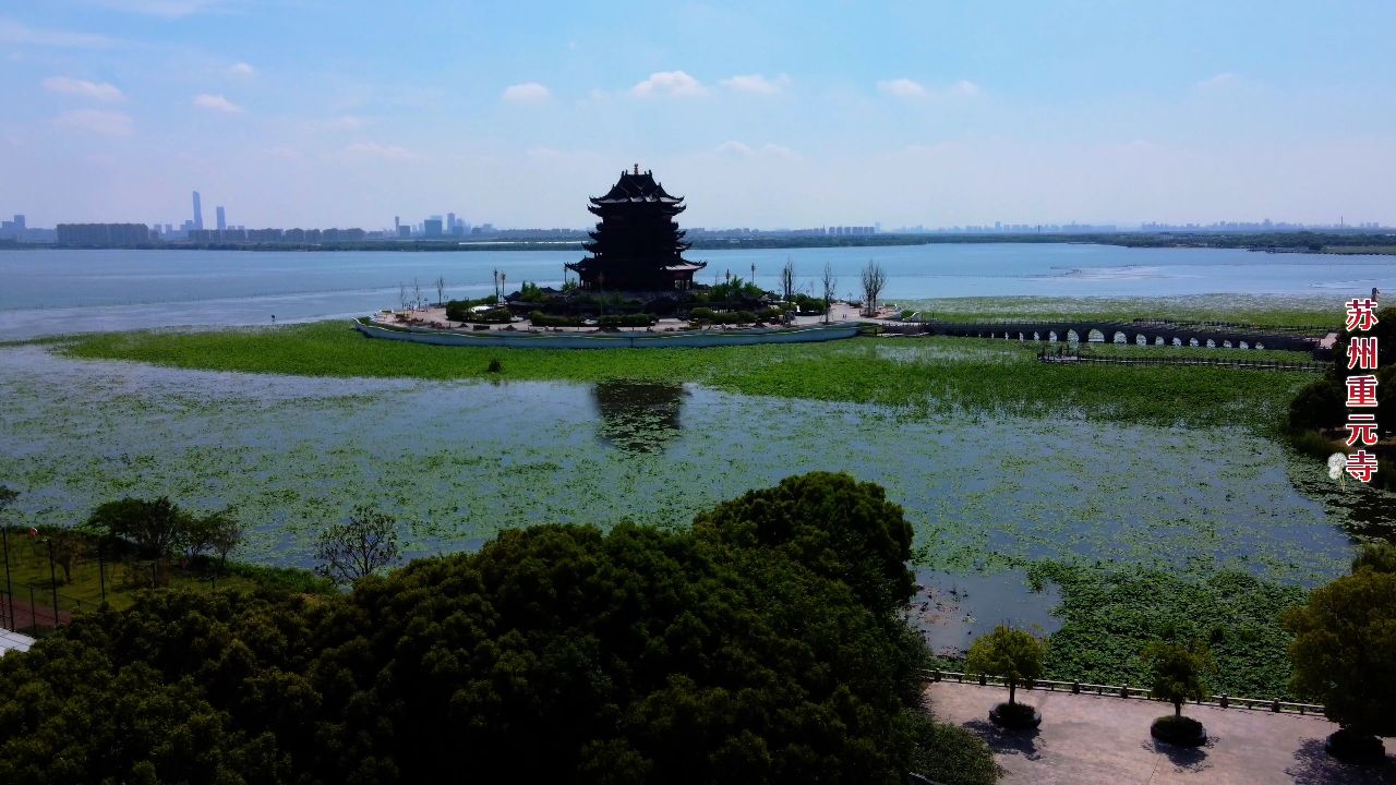 航拍苏州重元寺,阳澄湖上的水上佛国,天空视角下的绽放莲花