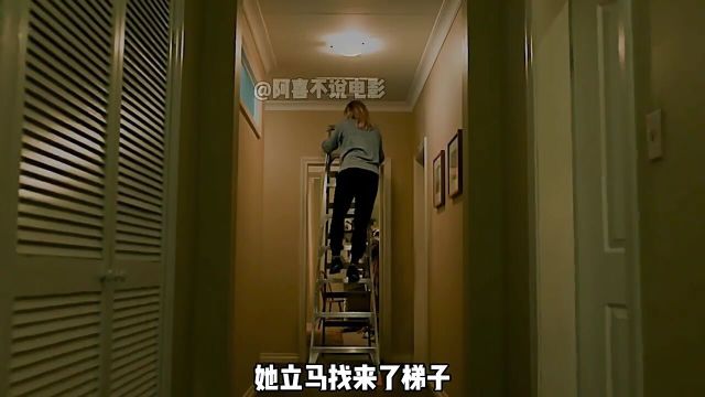 新环形淘宝703