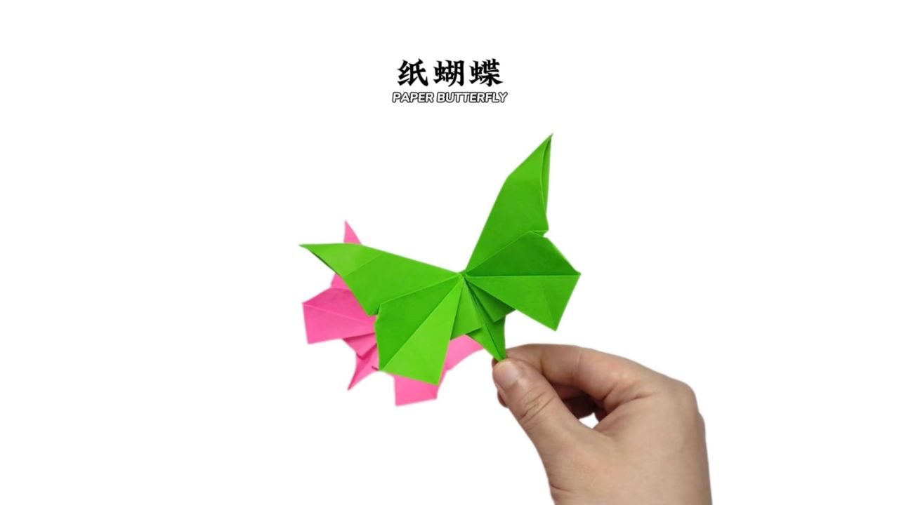 【蝴蝶折纸】夏日会飞的花朵——蝴蝶!