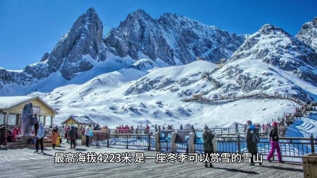 轿子雪山海拔多少米?