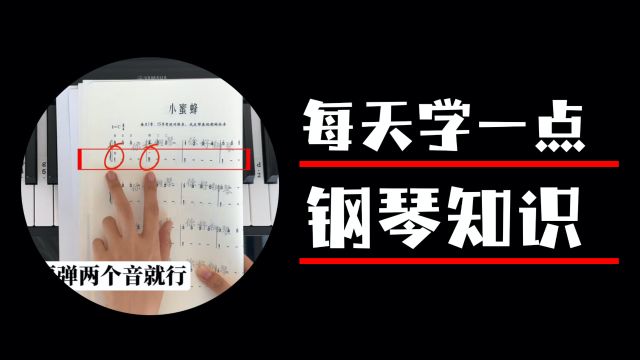 【钢琴教学】一点一点的的学习后,整首曲子自然就拿下了《小蜜蜂》