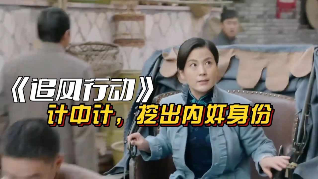 追风行动:计中计,甄别出保姆身份,并机智示警.