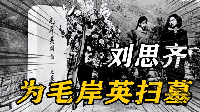 1950年毛岸英牺牲,9年后罗瑞卿密电任荣:主席有一项任务交给你