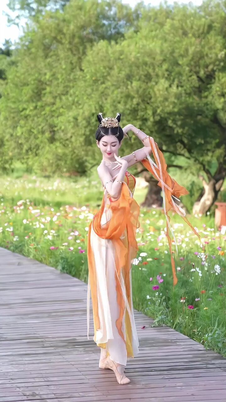 陛下这次西域进贡的舞姬可还满意?