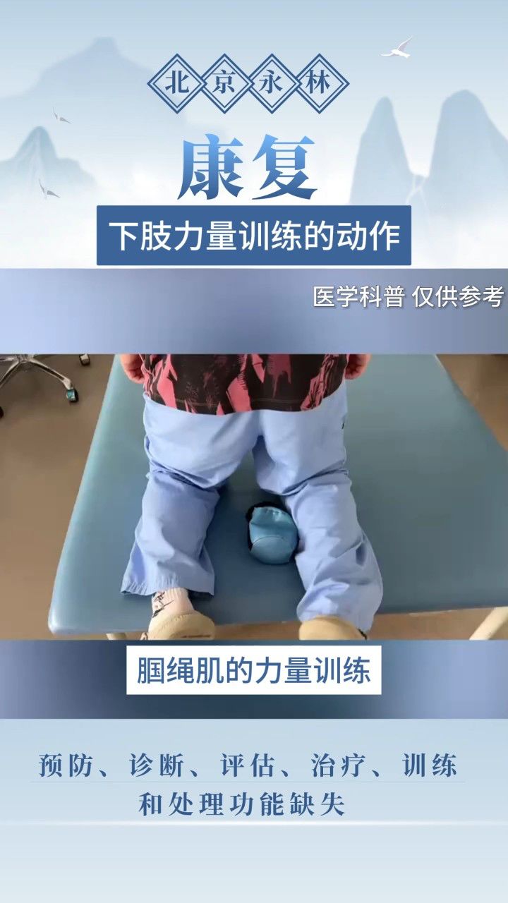 下肢力量训练的动作